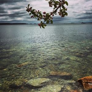 Meet your Posher, Brigitte